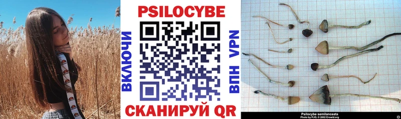 Псилоцибиновые грибы GOLDEN TEACHER  где купить наркоту  Заречный 